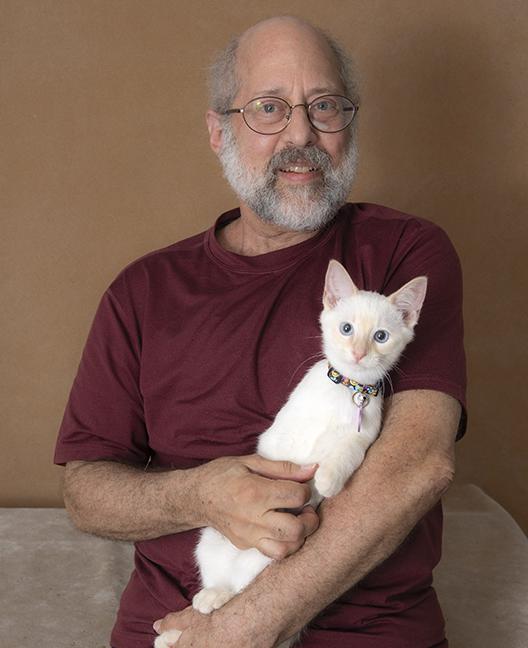 Dragon & Tiger, an adopted Siamese in Chicago, IL image 3/6
