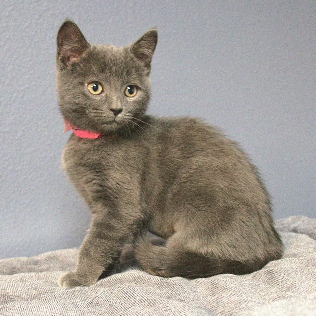 Excavator — thumbnail 2