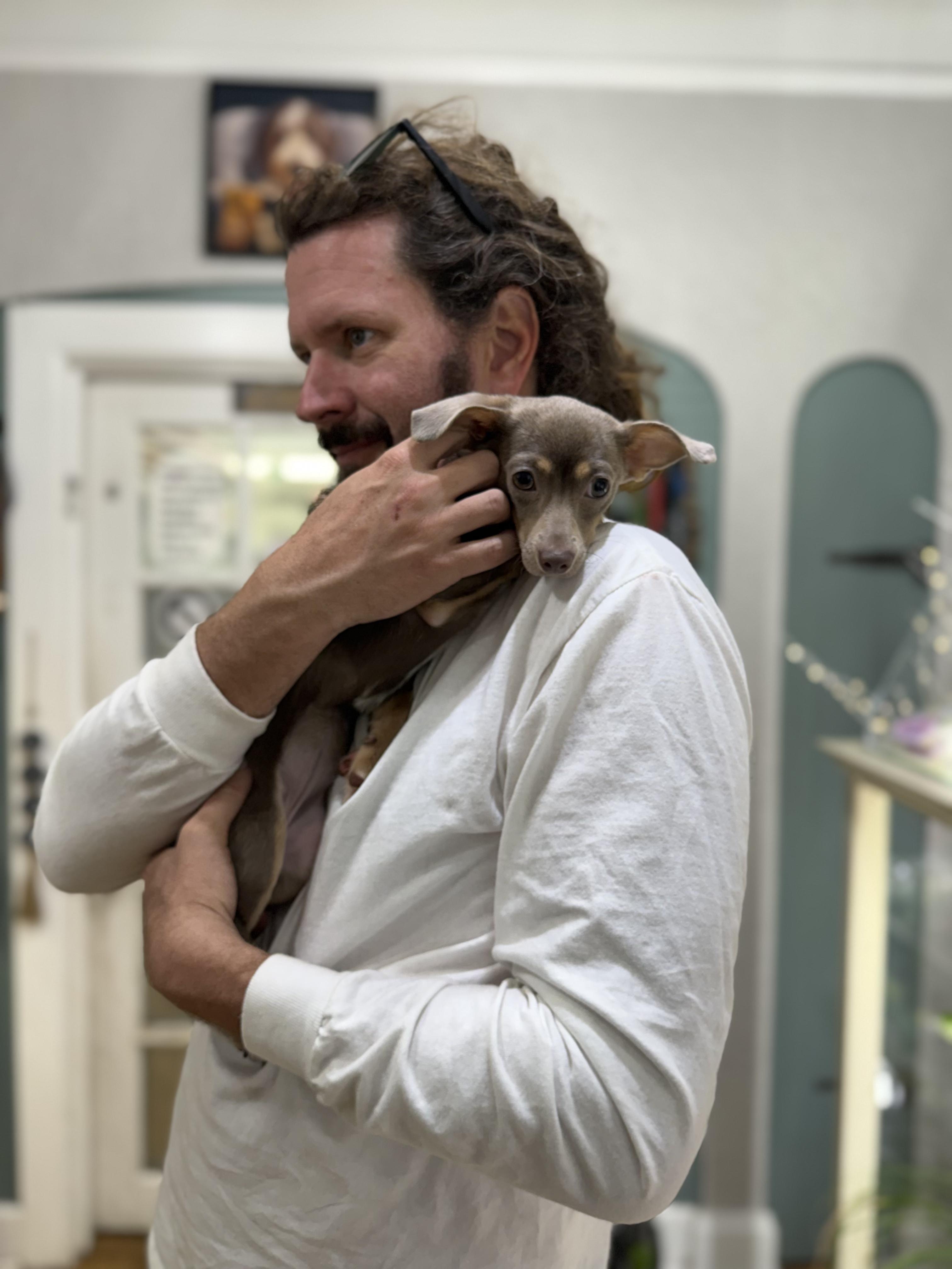 Enlarge Enchilada, a ADOPTABLE mixed breed in New Orleans, LA image 3/4