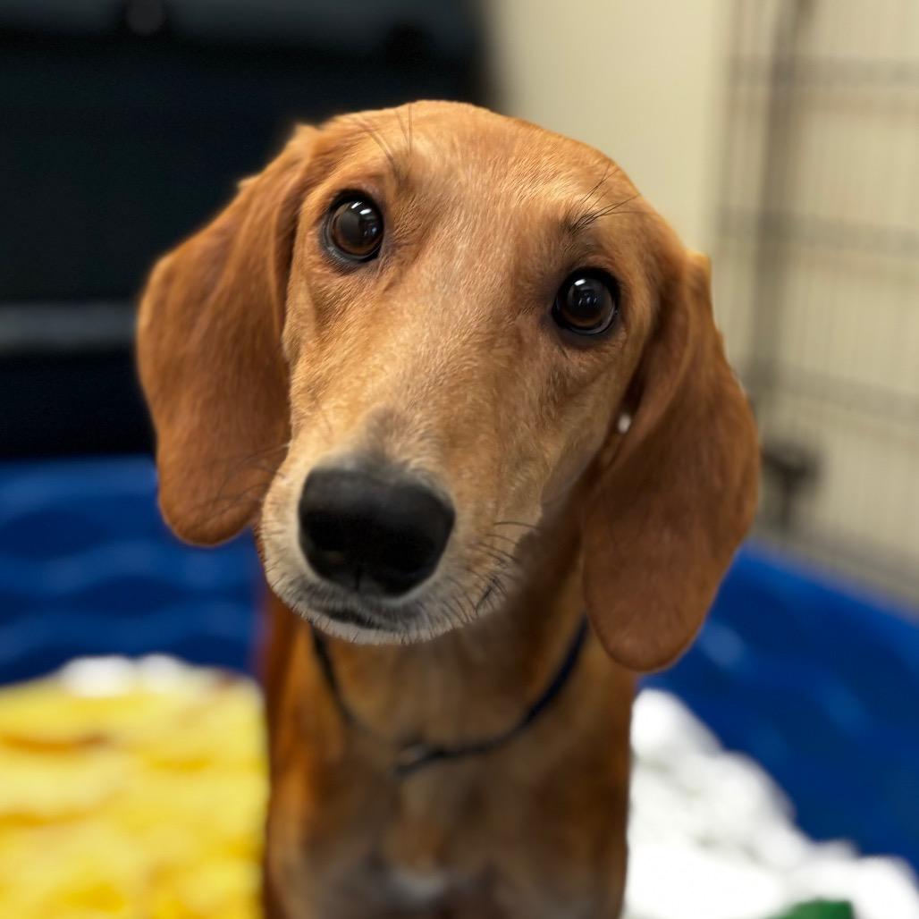 Meadow — thumbnail 2