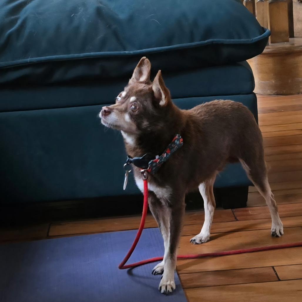 Sharpool — thumbnail 4