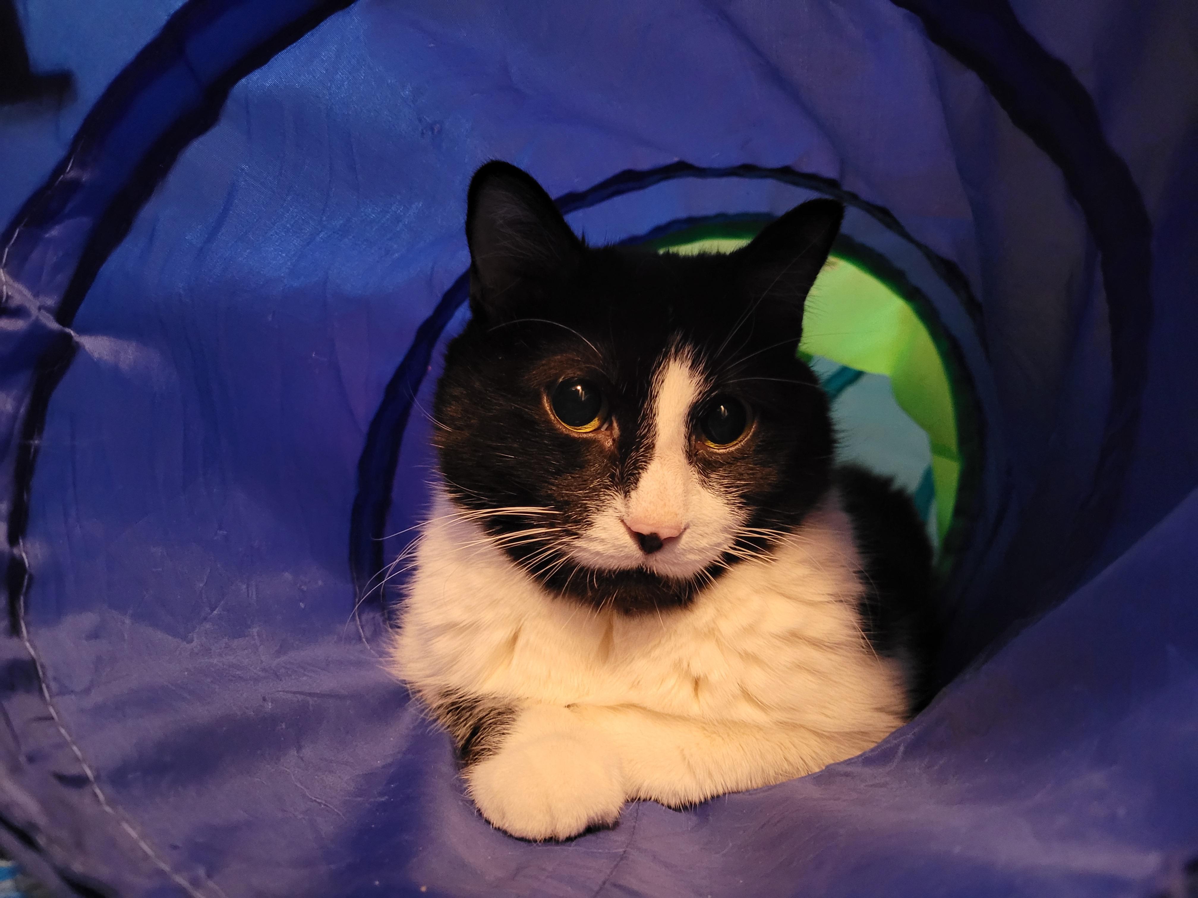 Odette (special needs) photo 3