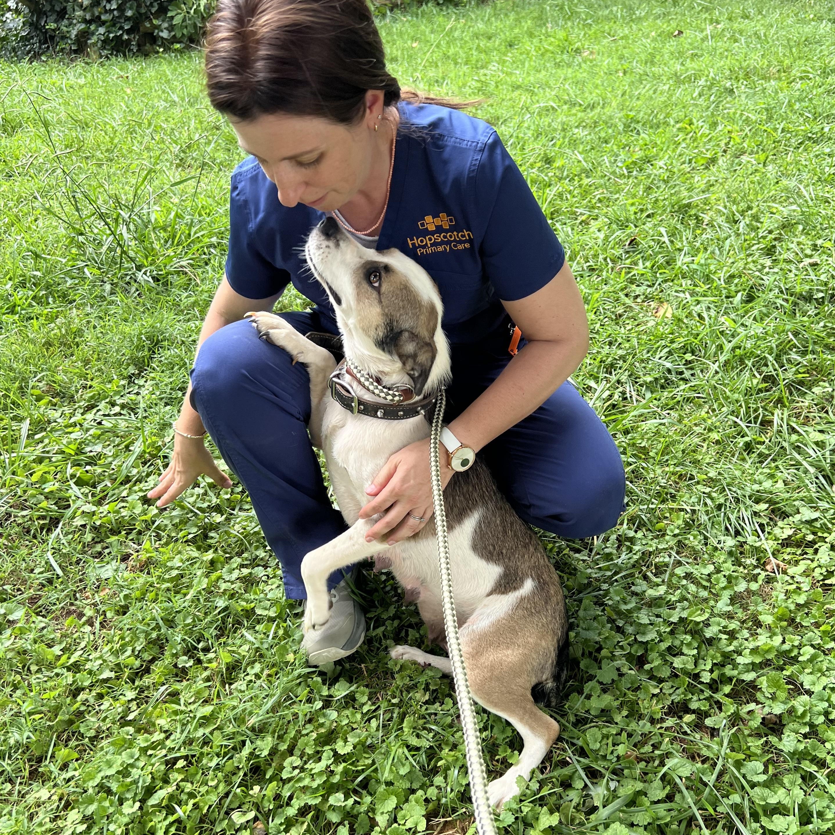 Macie, an adopted mixed breed in Cedar Mountain, NC image 2/6