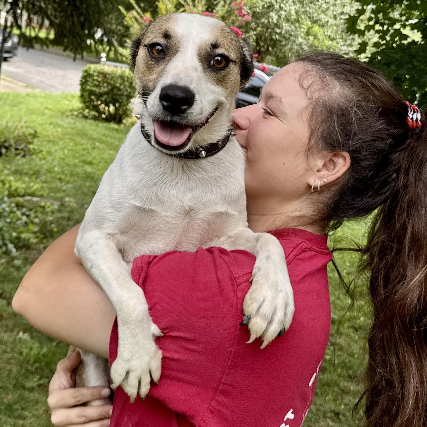 Macie, an adopted mixed breed in Cedar Mountain, NC image 3/6