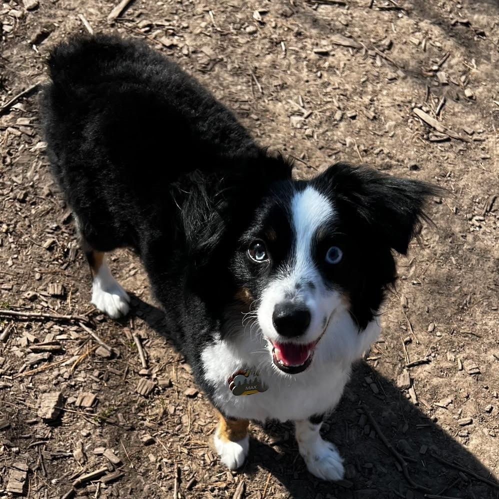 Max (M)