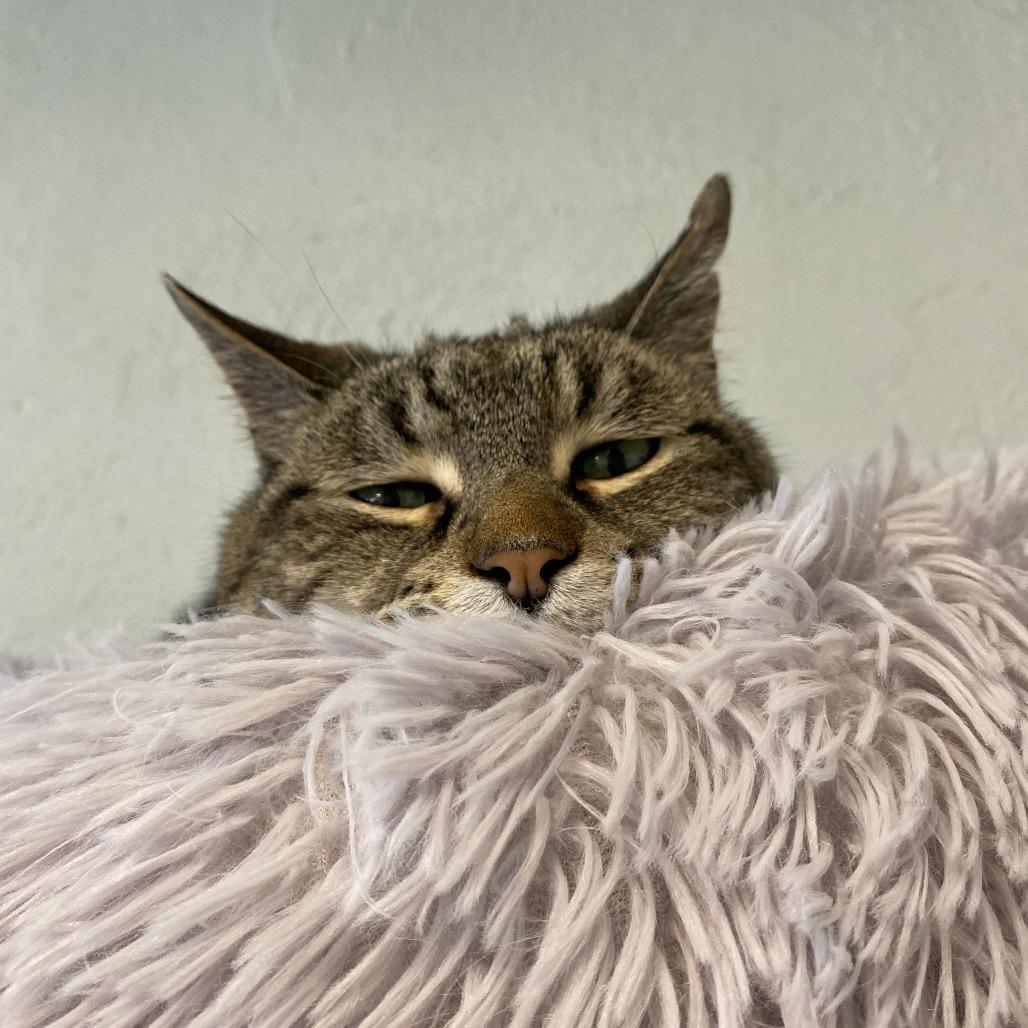 Jake — thumbnail 2