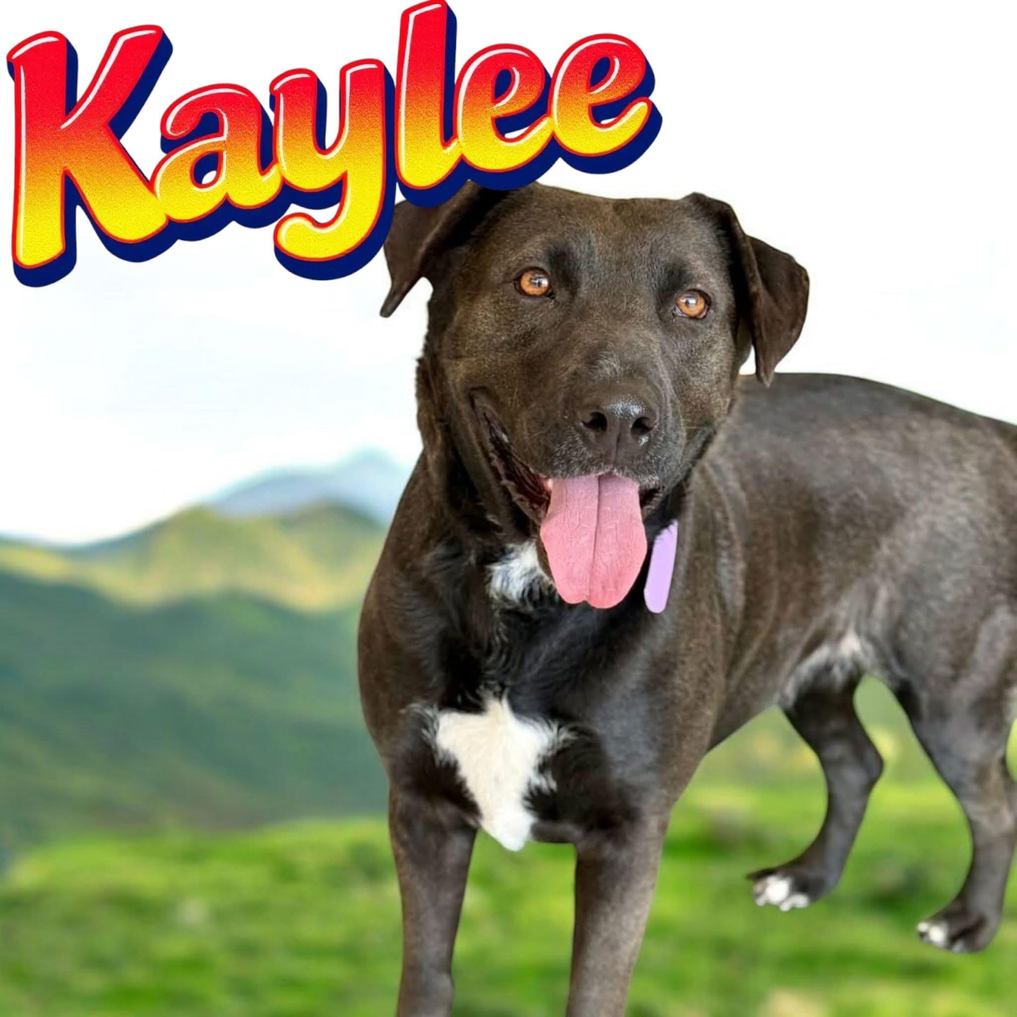 Kaylee