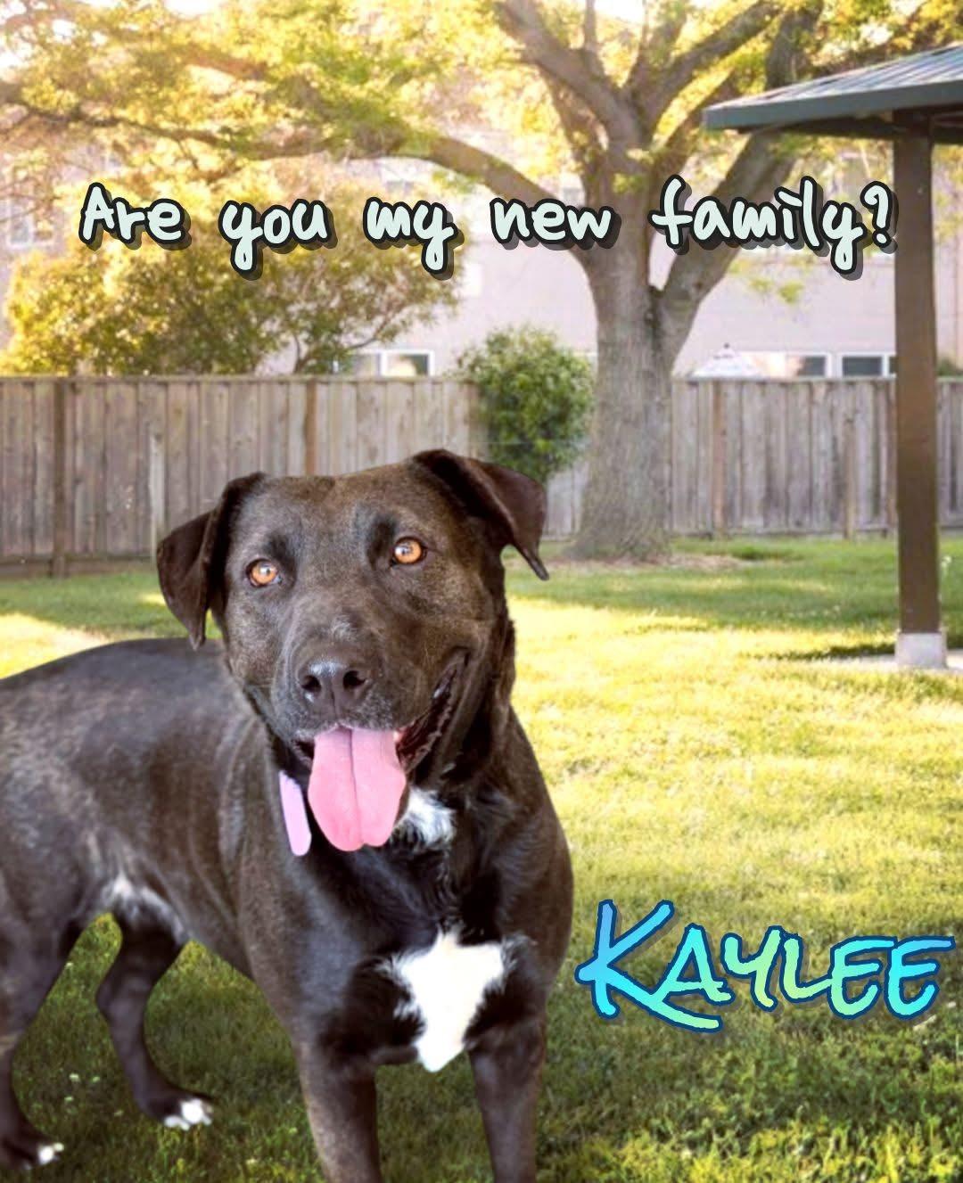 Kaylee