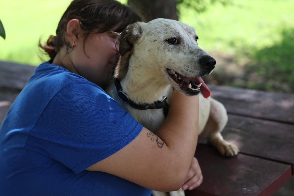 Enlarge Zee, a Adoptable mixed breed in Dyersburg, TN image 2/6