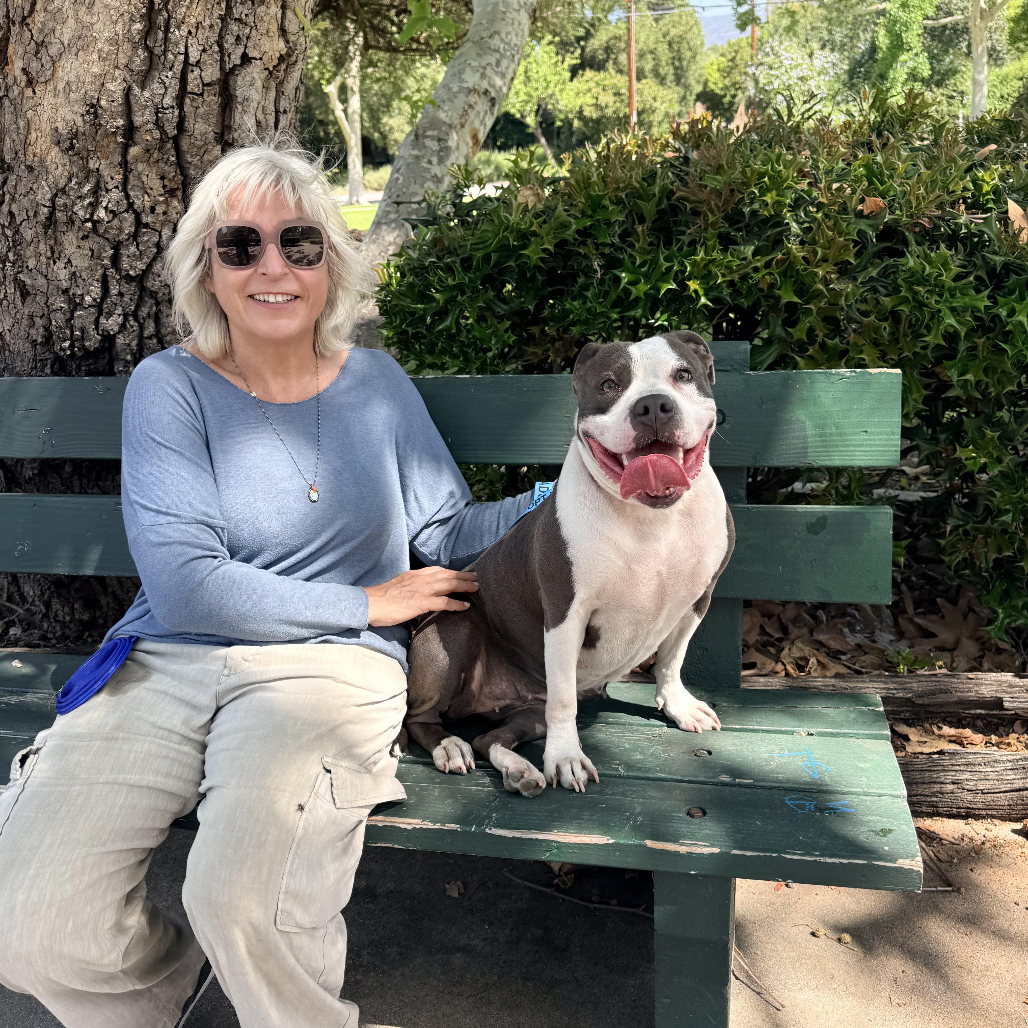 Enlarge Lil Mama, a Adoptable mixed breed in Claremont , CA image 6/6