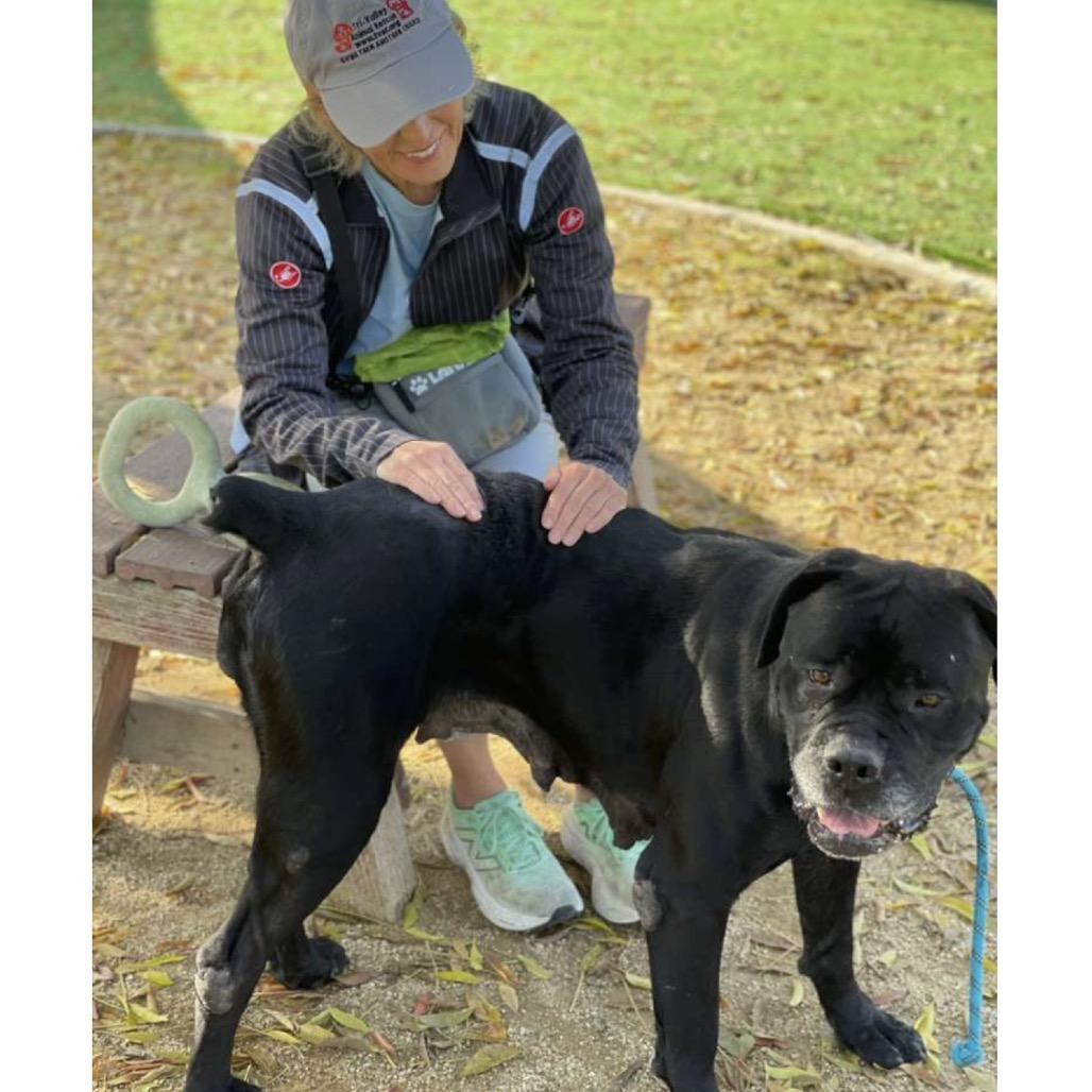 Shera  Ecas thumbnail 5