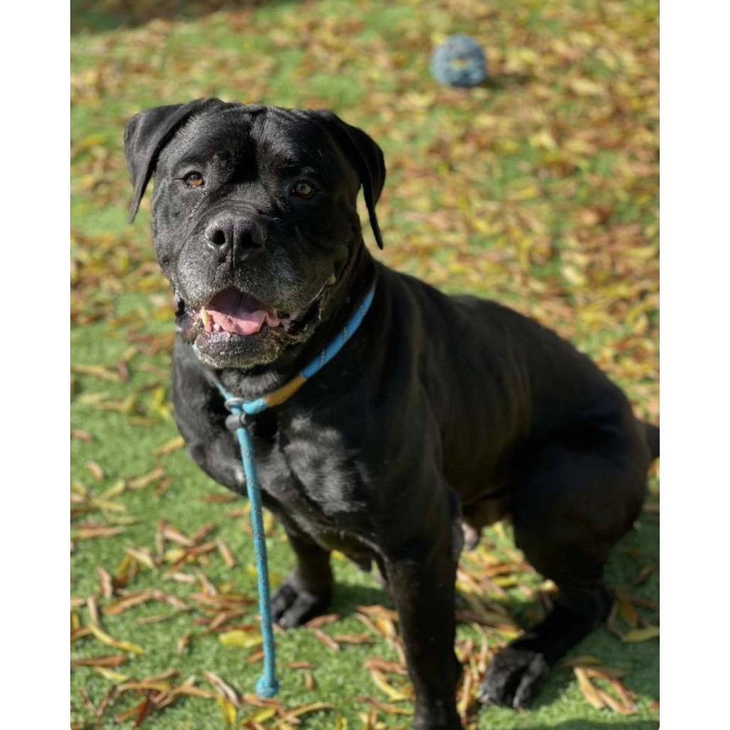 Shera  Ecas thumbnail 6