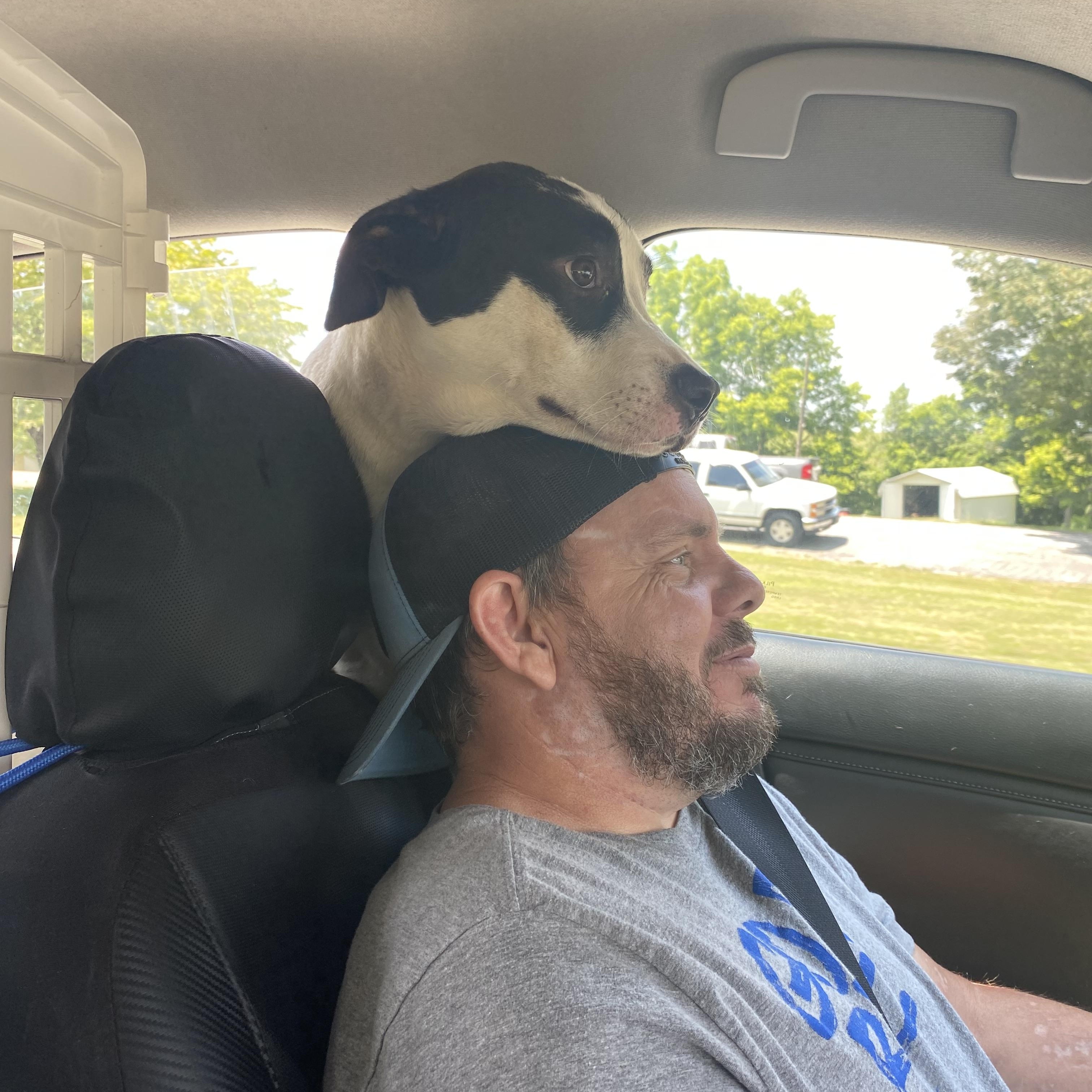 Moo moo, a Adoptable mixed breed in Junction City, KY image 5/5