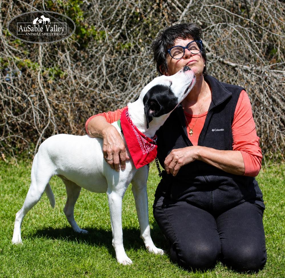 Enlarge Charlie Chaplin, an adoptable Mixed Breed in Grayling, MI image 4/6