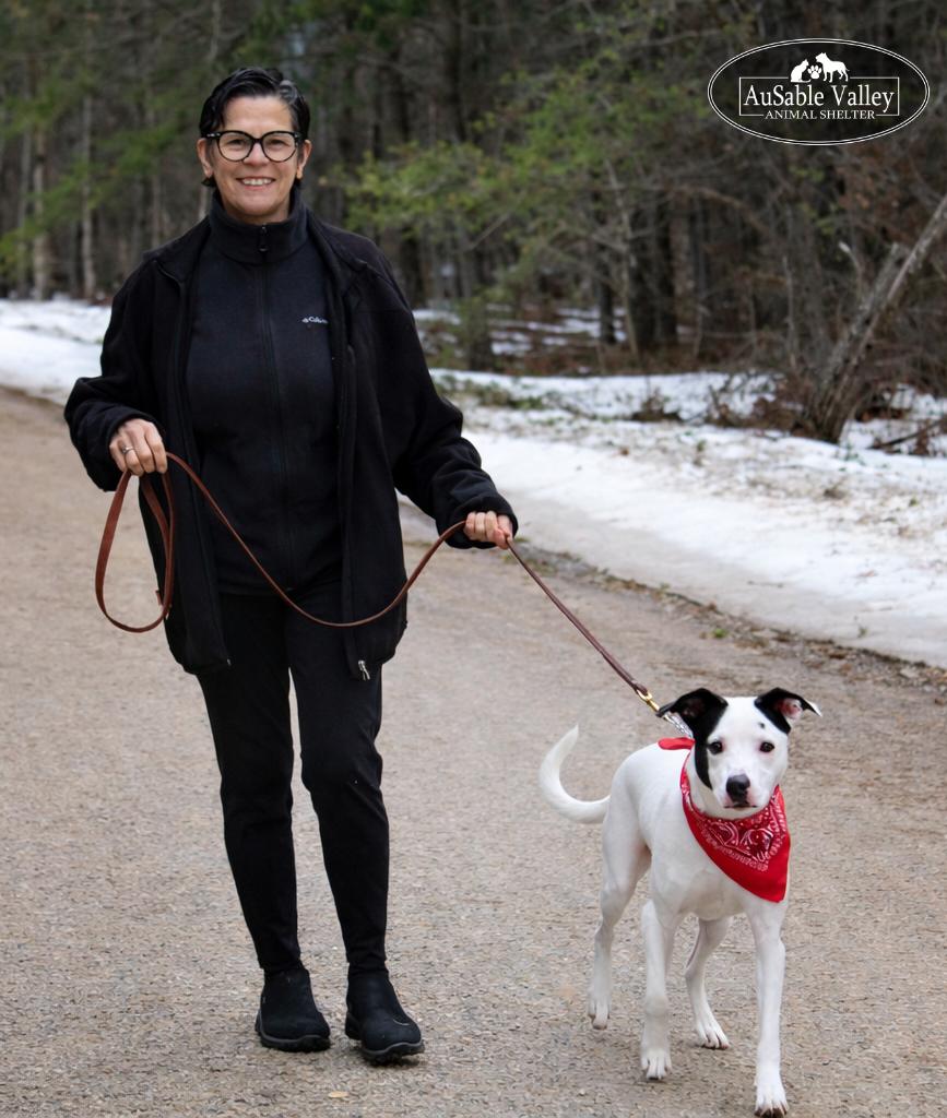 Enlarge Charlie Chaplin, a ADOPTABLE Mixed Breed in Grayling, MI image 4/6