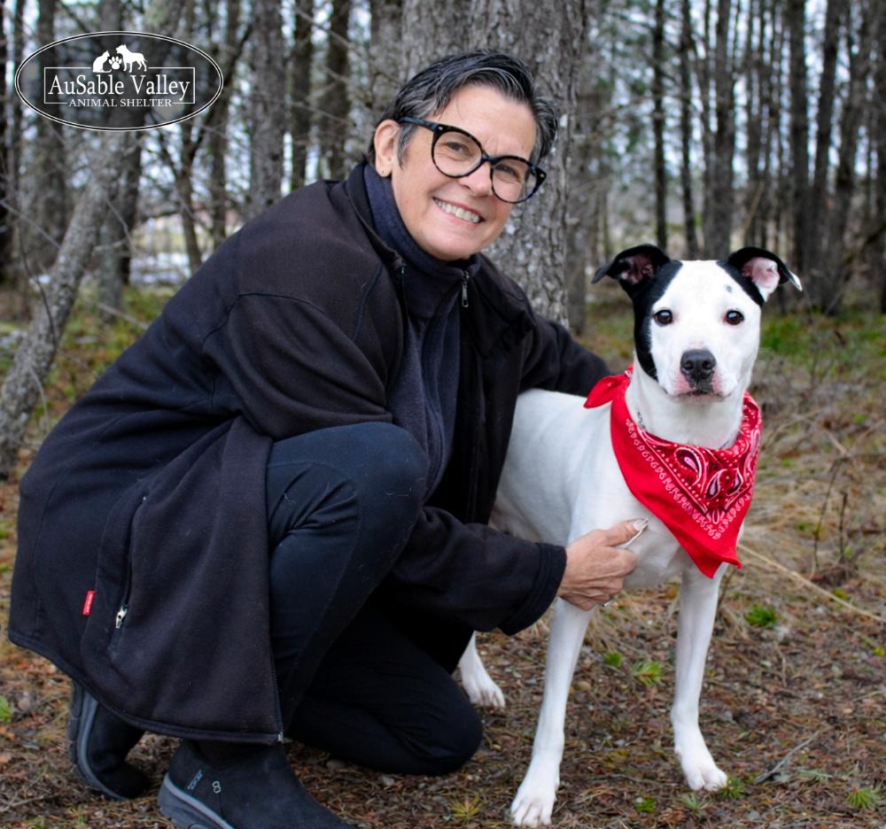 Enlarge Charlie Chaplin, a ADOPTABLE Mixed Breed in Grayling, MI image 2/6