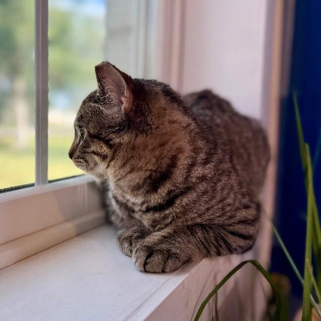 Sage Delgado — thumbnail 4