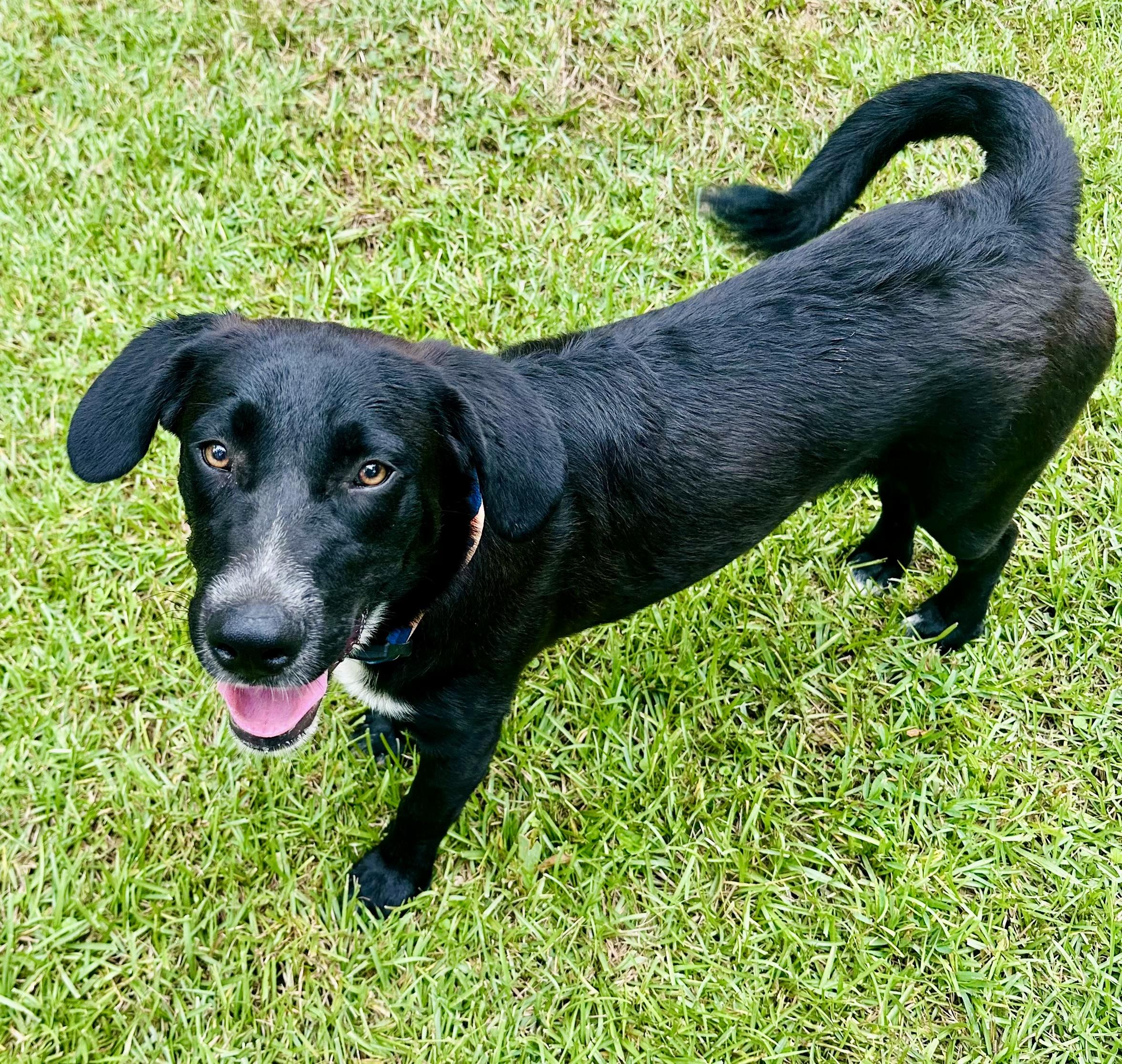 BARON