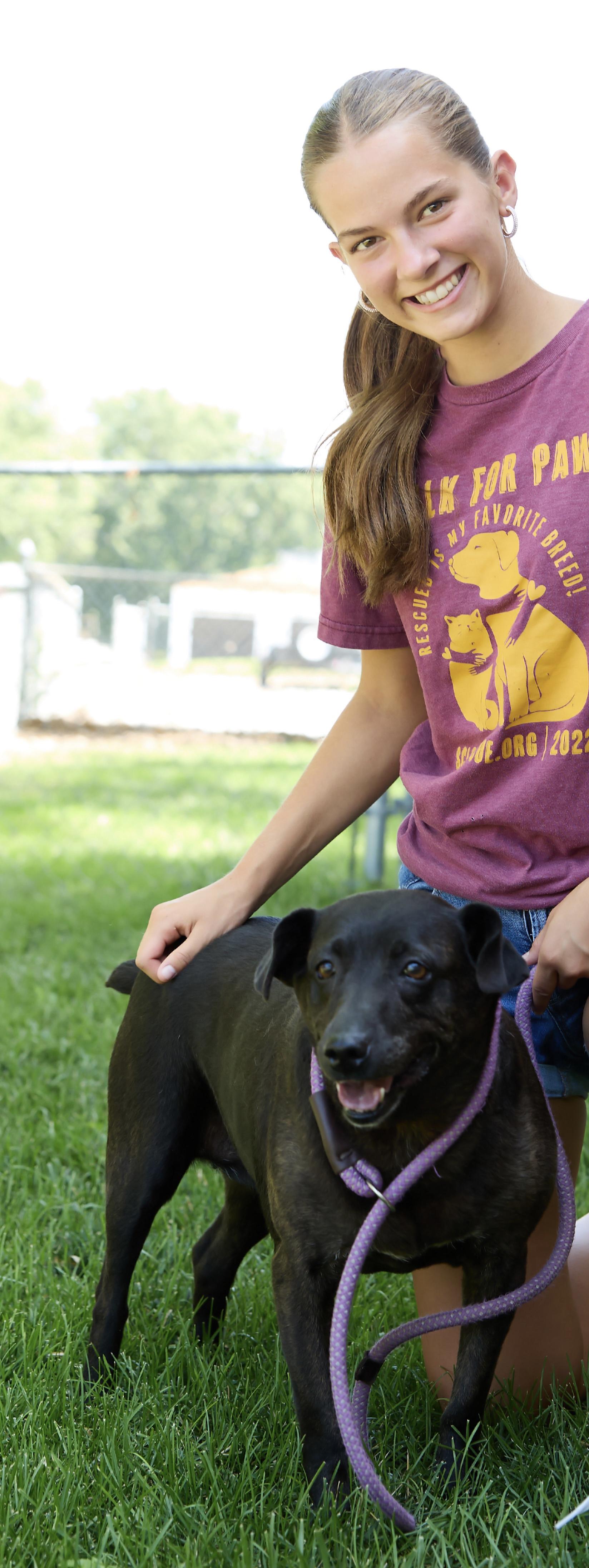 Sadie, an adoptable Black Labrador Retriever, Vizsla in Wahoo, NE, 68066 | Photo Image 3