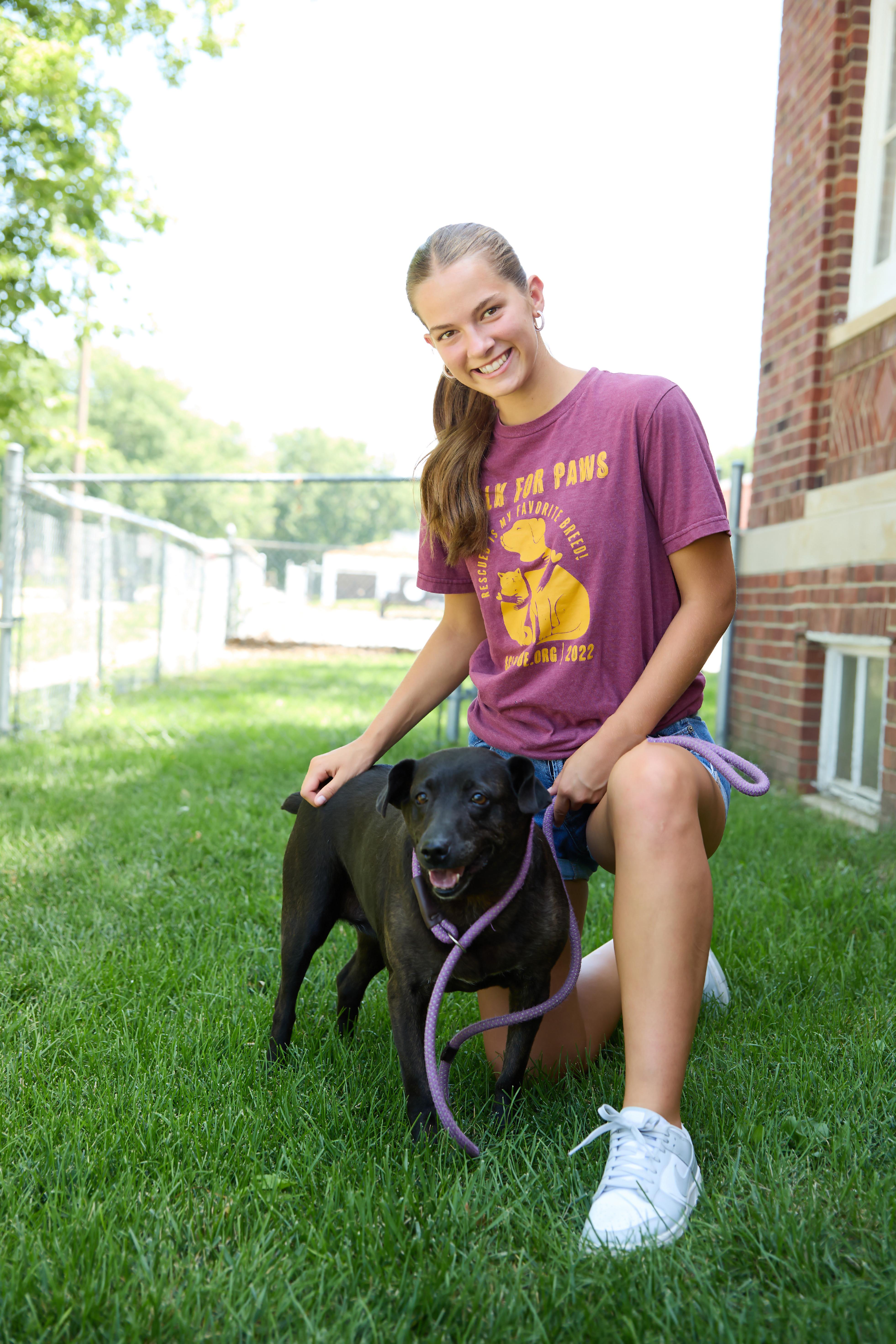 Sadie, an adoptable Black Labrador Retriever, Vizsla in Wahoo, NE, 68066 | Photo Image 2
