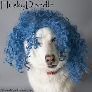 Nieves, a Adoptable mixed breed in Ruidoso, NM image 2/2