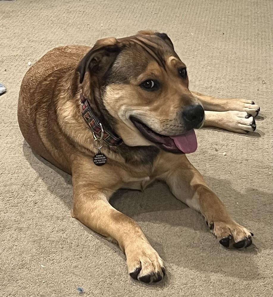 Kenya-Zambia — thumbnail 4