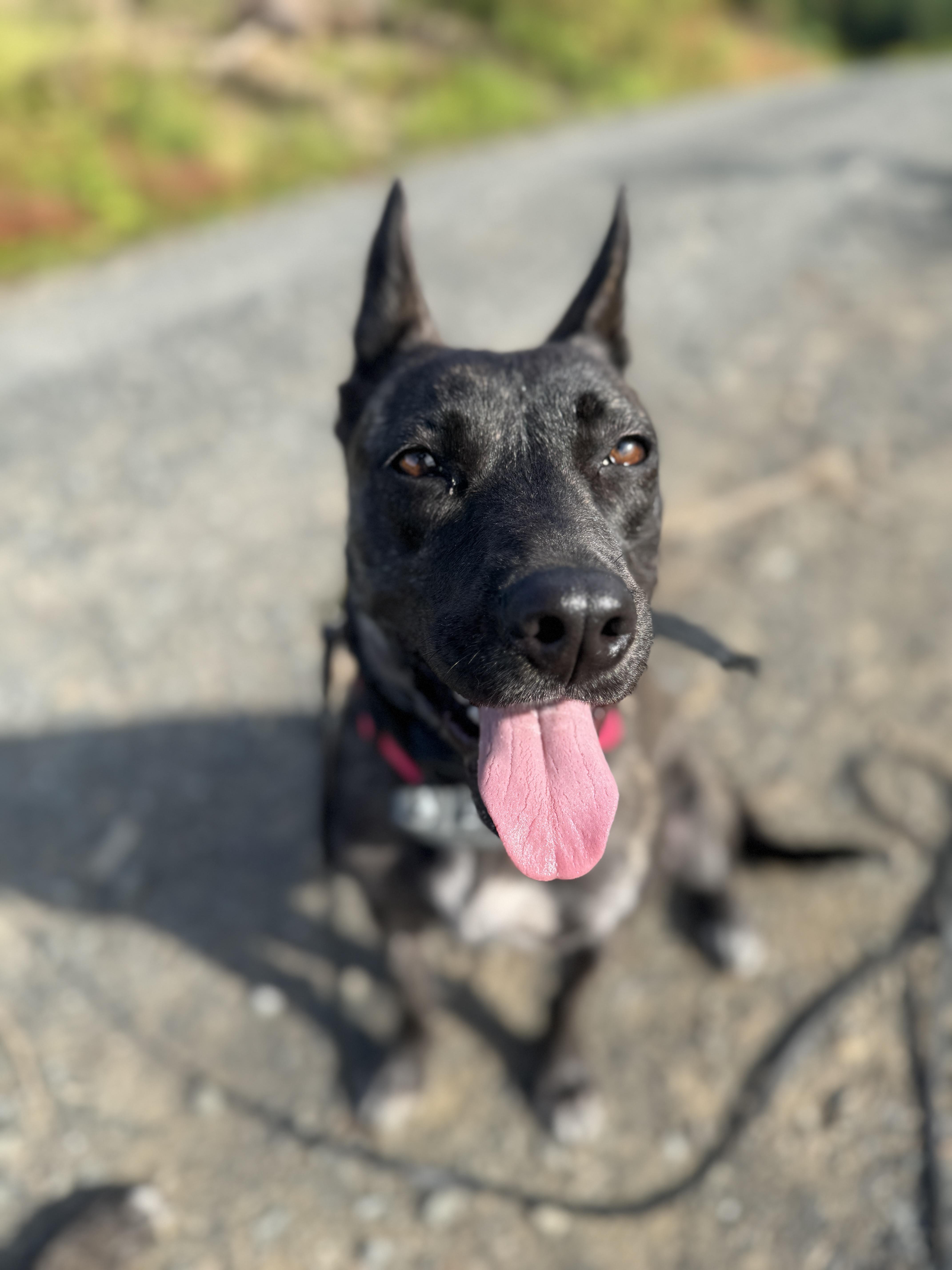 Keisha