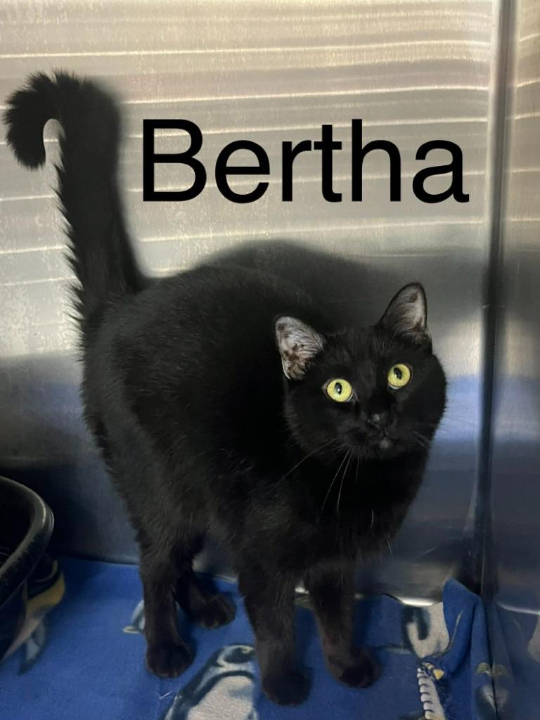 Bertha