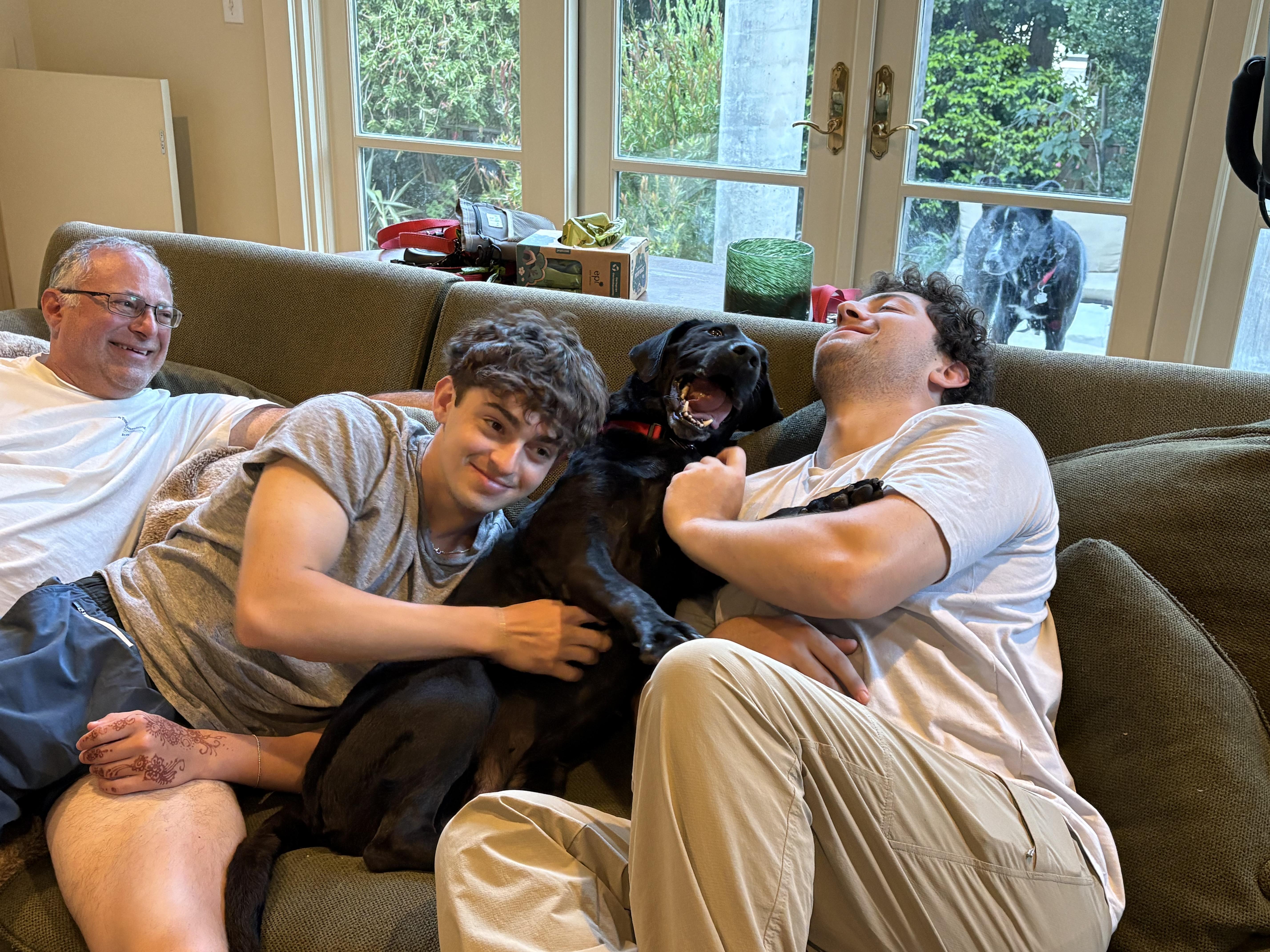 Blue, a Adoptable Labrador Retriever in San Francisco, CA image 6/6