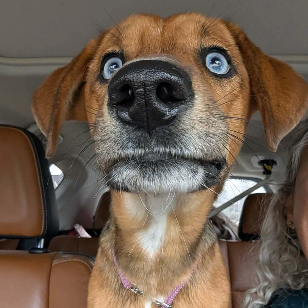 Kajal — thumbnail 6