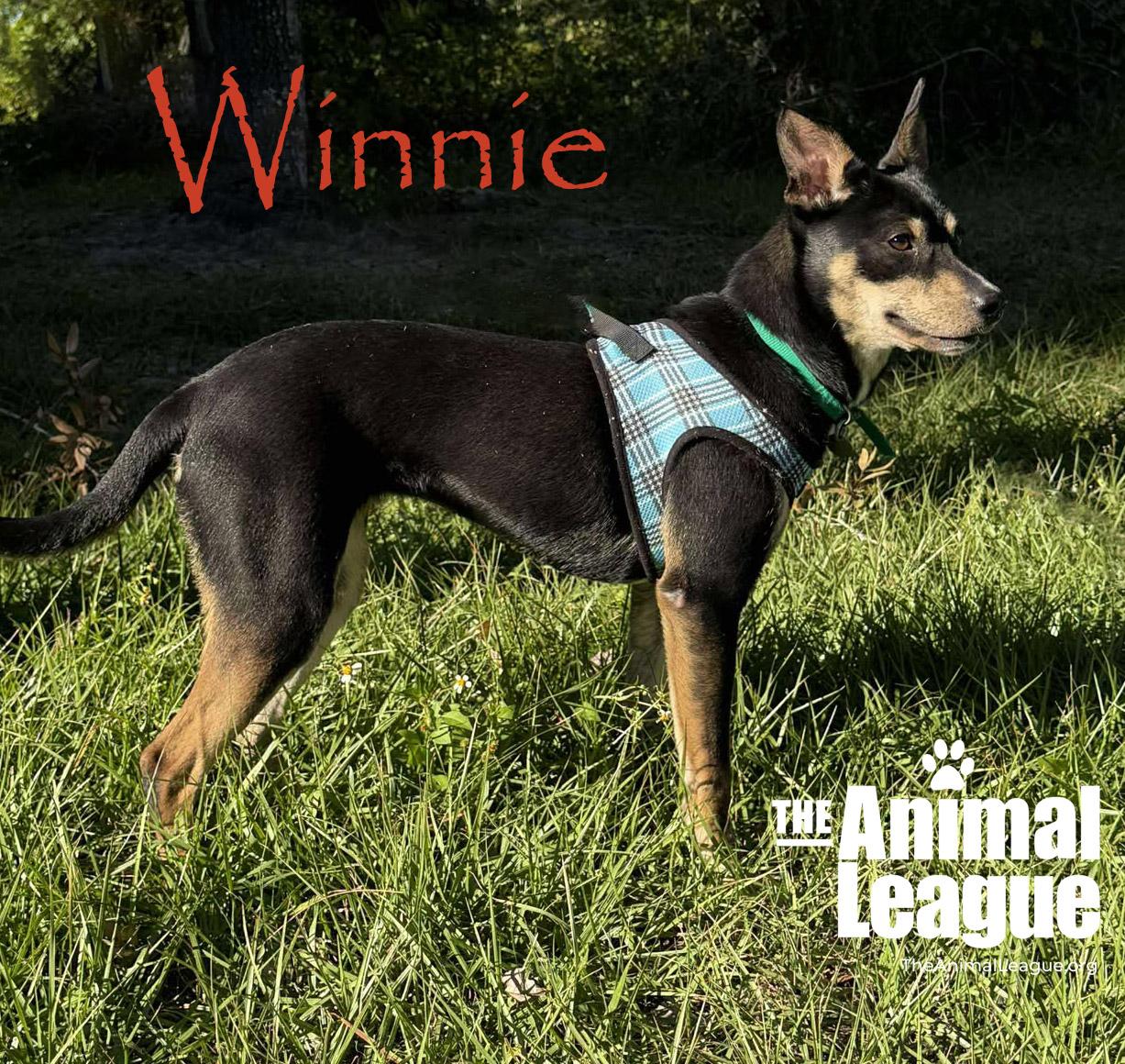 Winnie