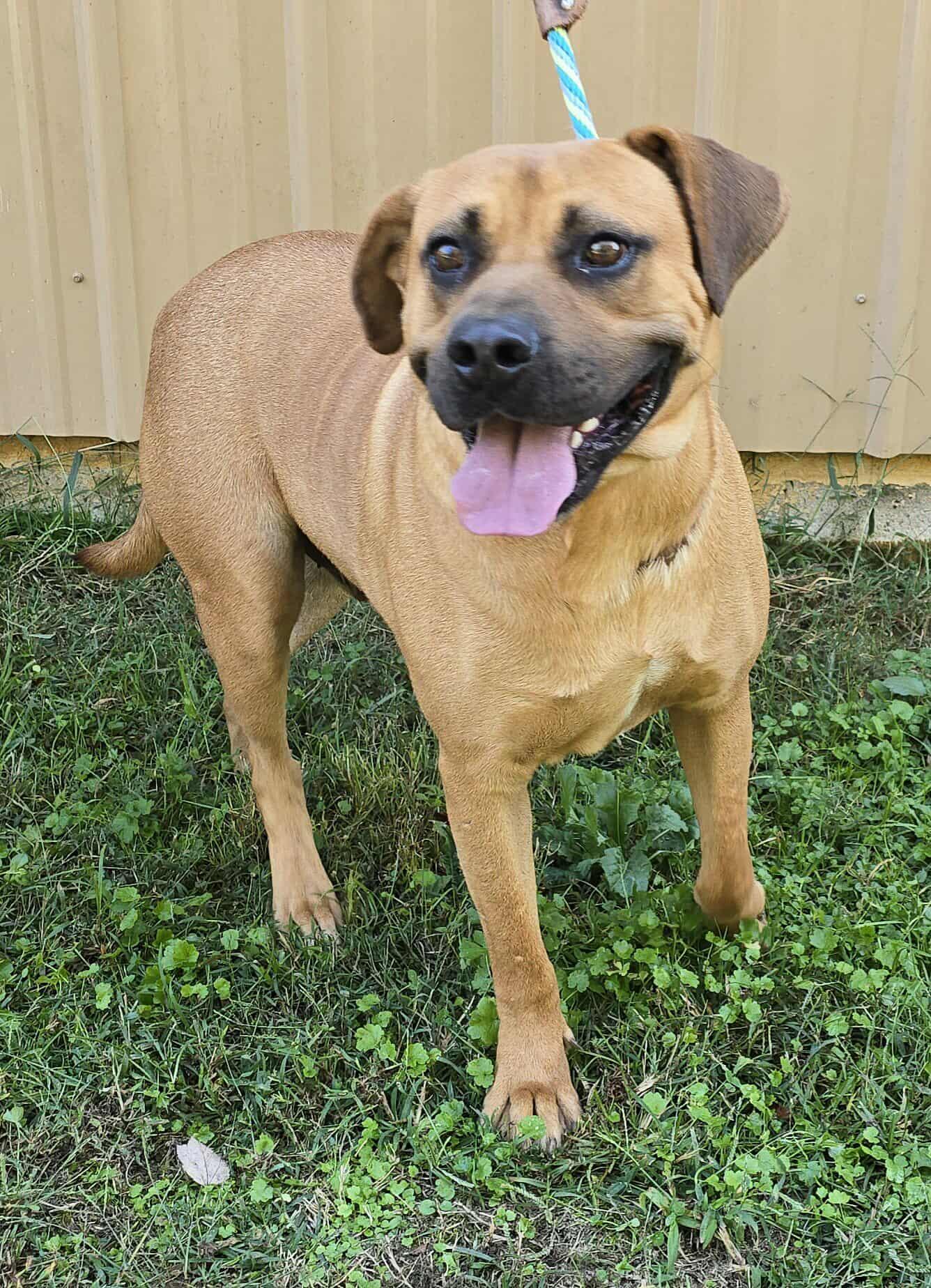 Bon Jovi thumbnail 6