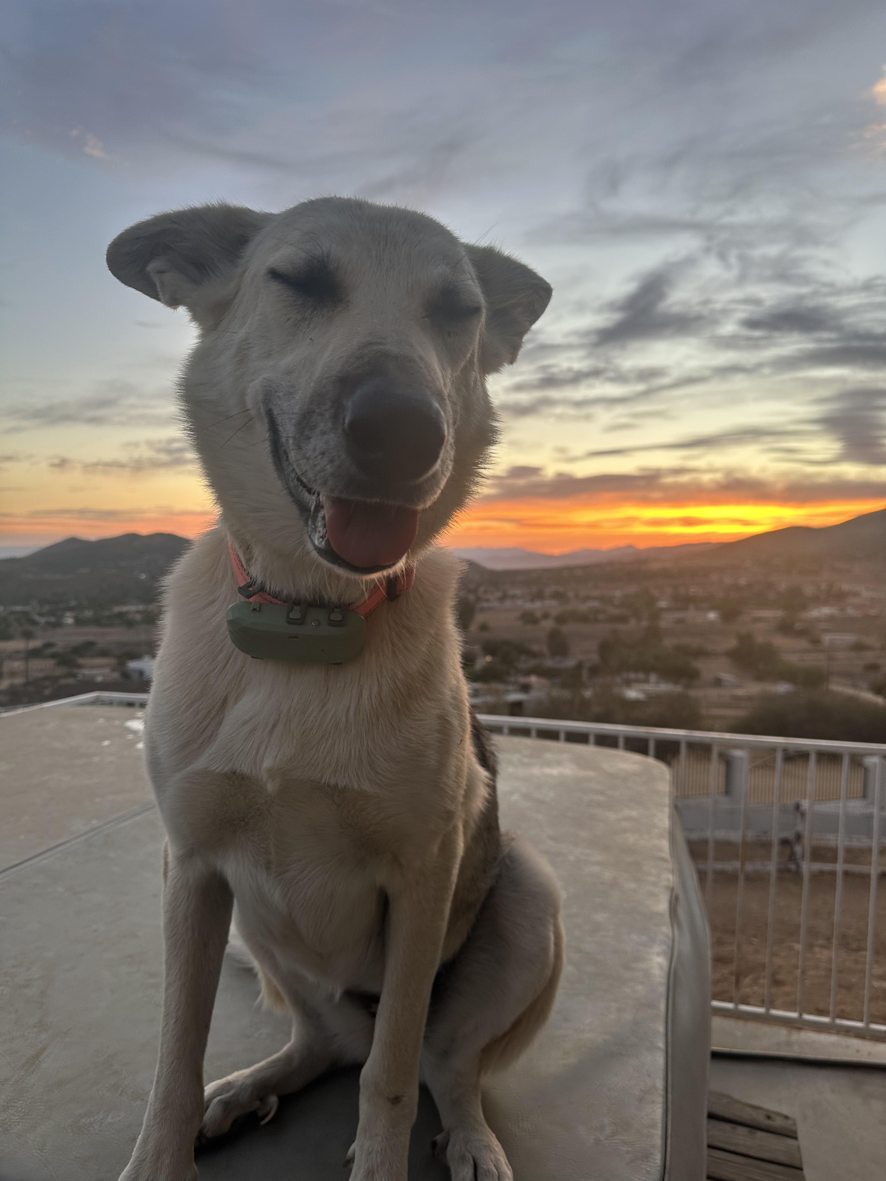 Estrella (now Bella)