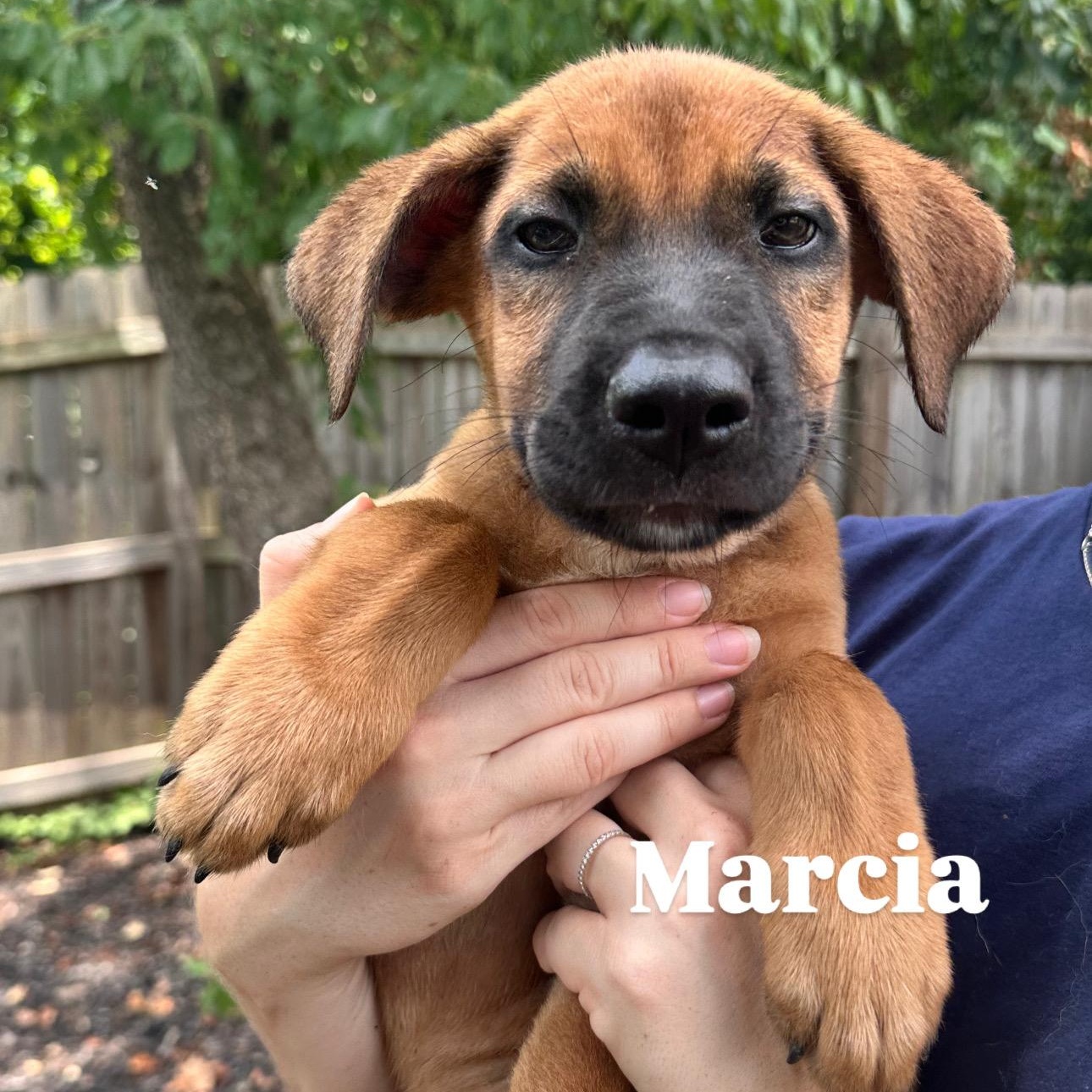 Marcia, Baby Female unknown