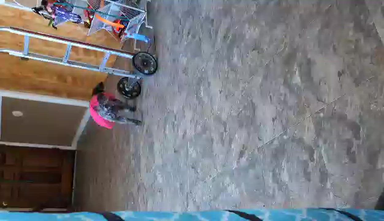 Enlarge Gala, a Adopted mixed breed in Parlier, CA video 6/6