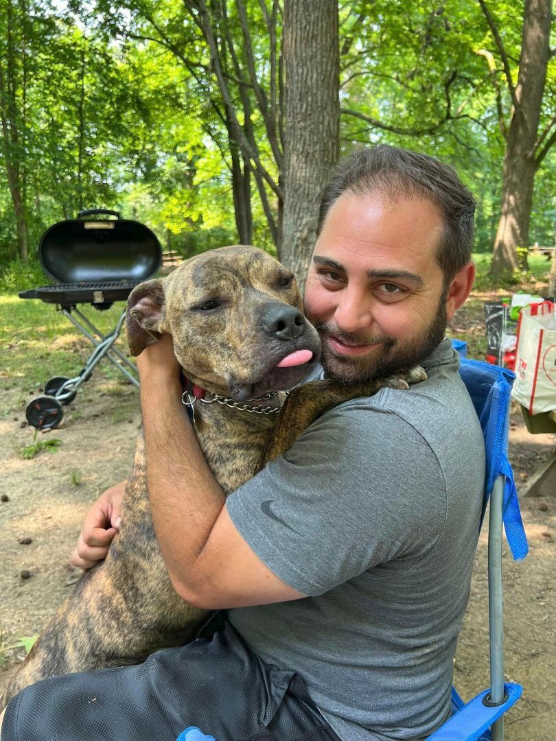 Enlarge Bruno *foster needed*, a Adoptable Pit Bull Terrier in Landenberg, PA image 6/6