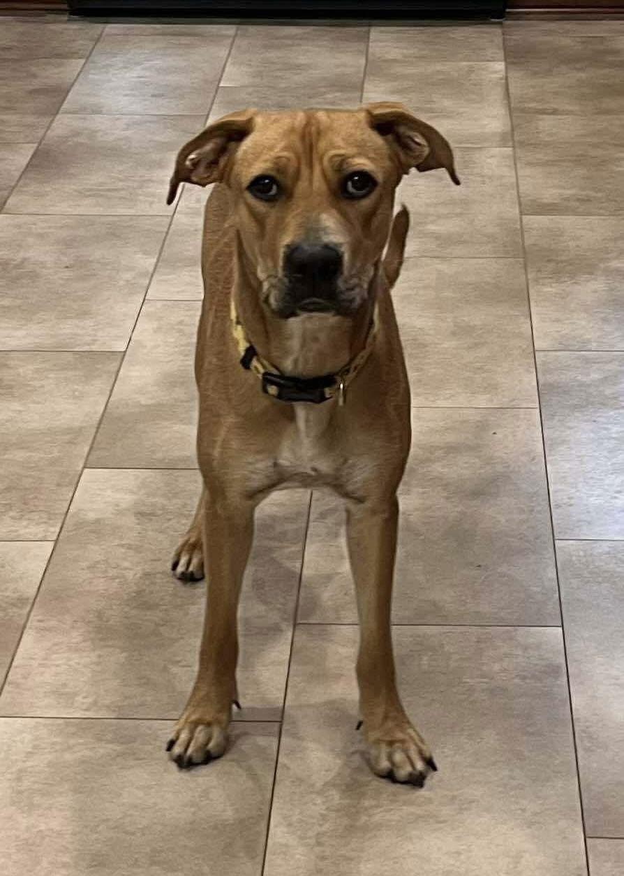 Maisy West thumbnail 2