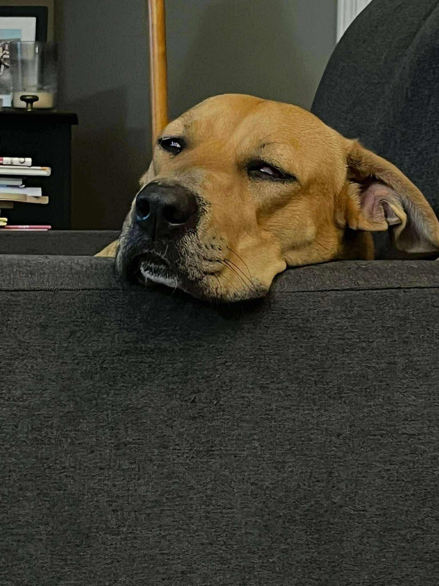 Maisy West thumbnail 3