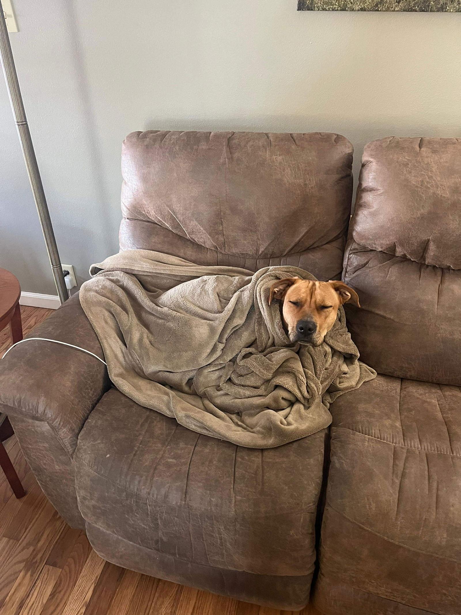 Maisy West thumbnail 4