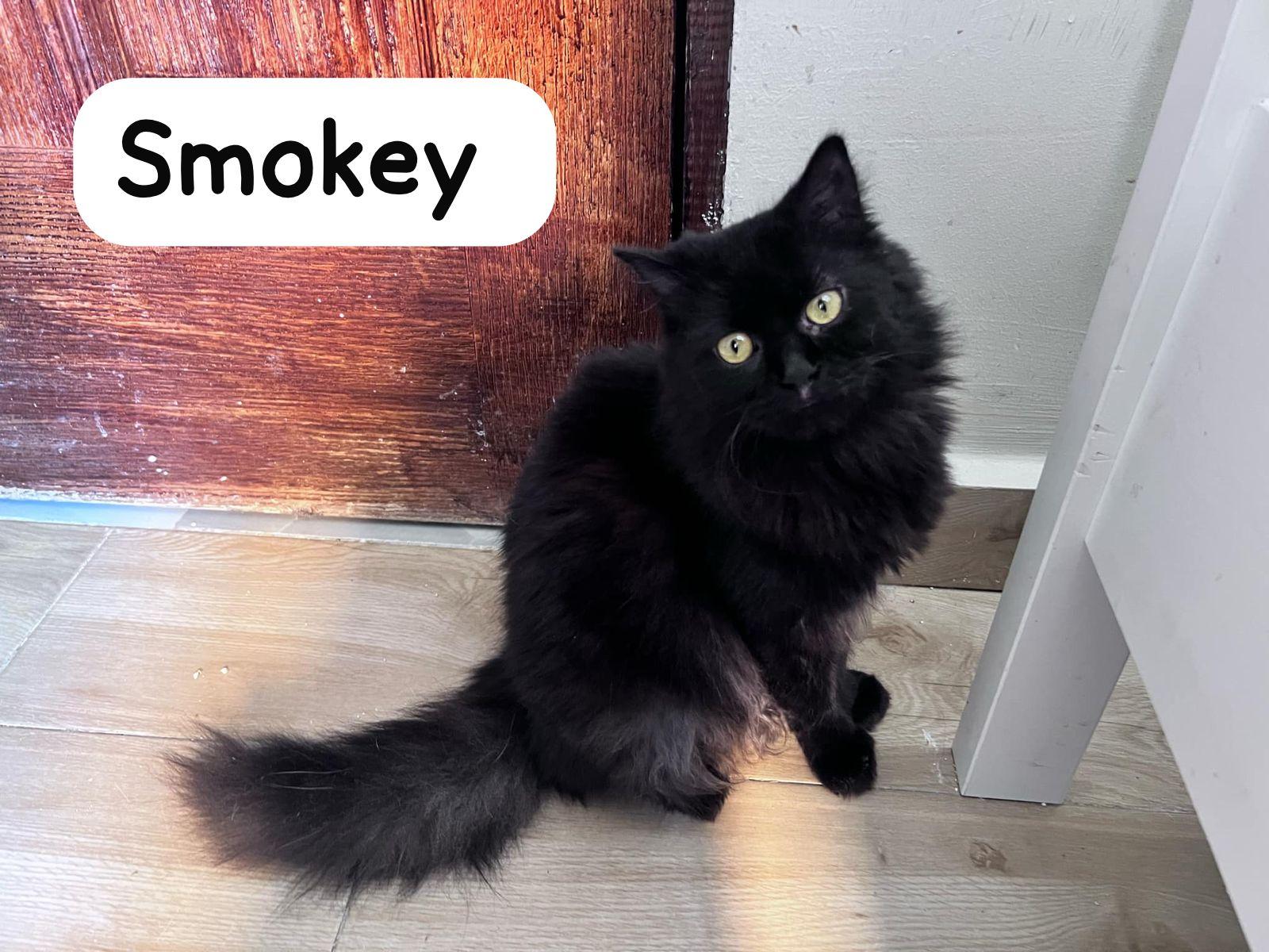 Smokey Nes photo 3