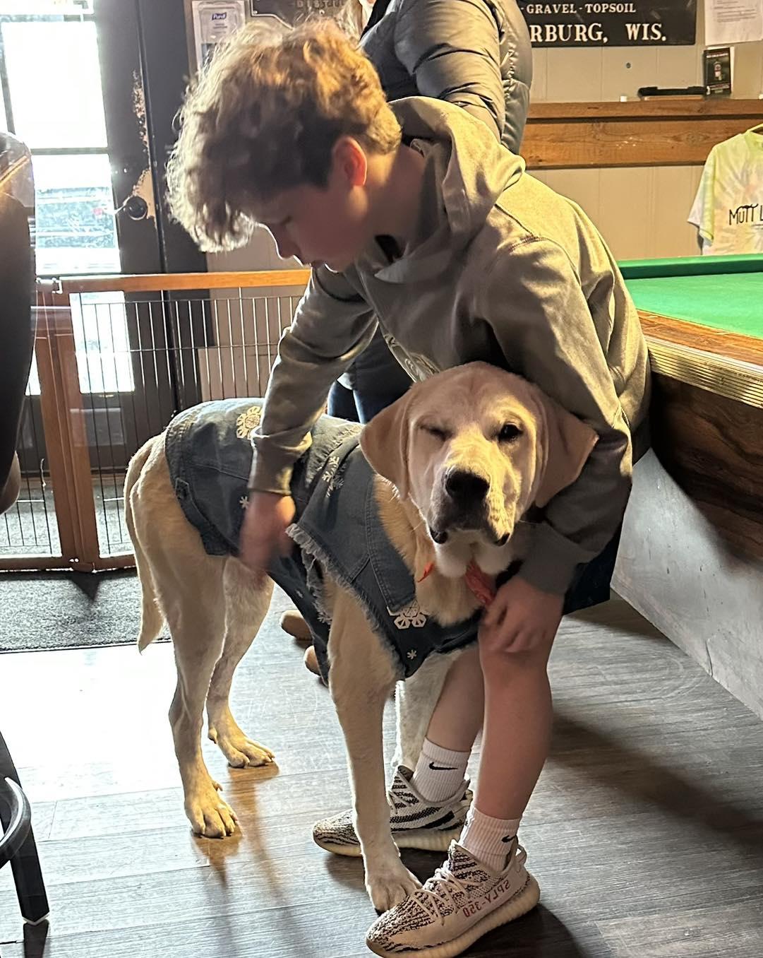 Enlarge RAYMOND, a Adopted mixed breed in Cedarburg, WI image 2/6