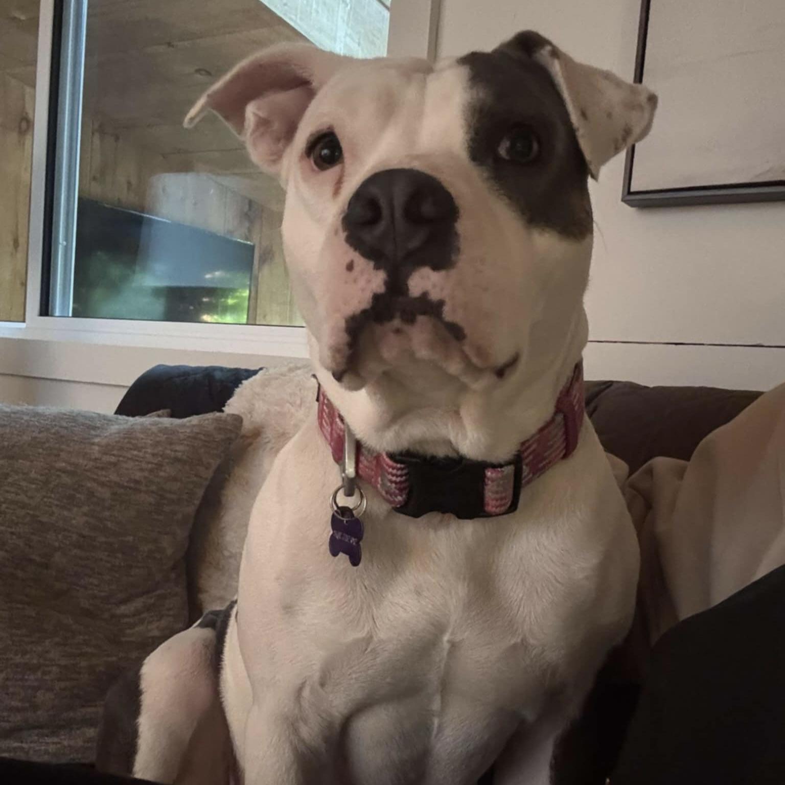 Mama Lita (20241030-02)