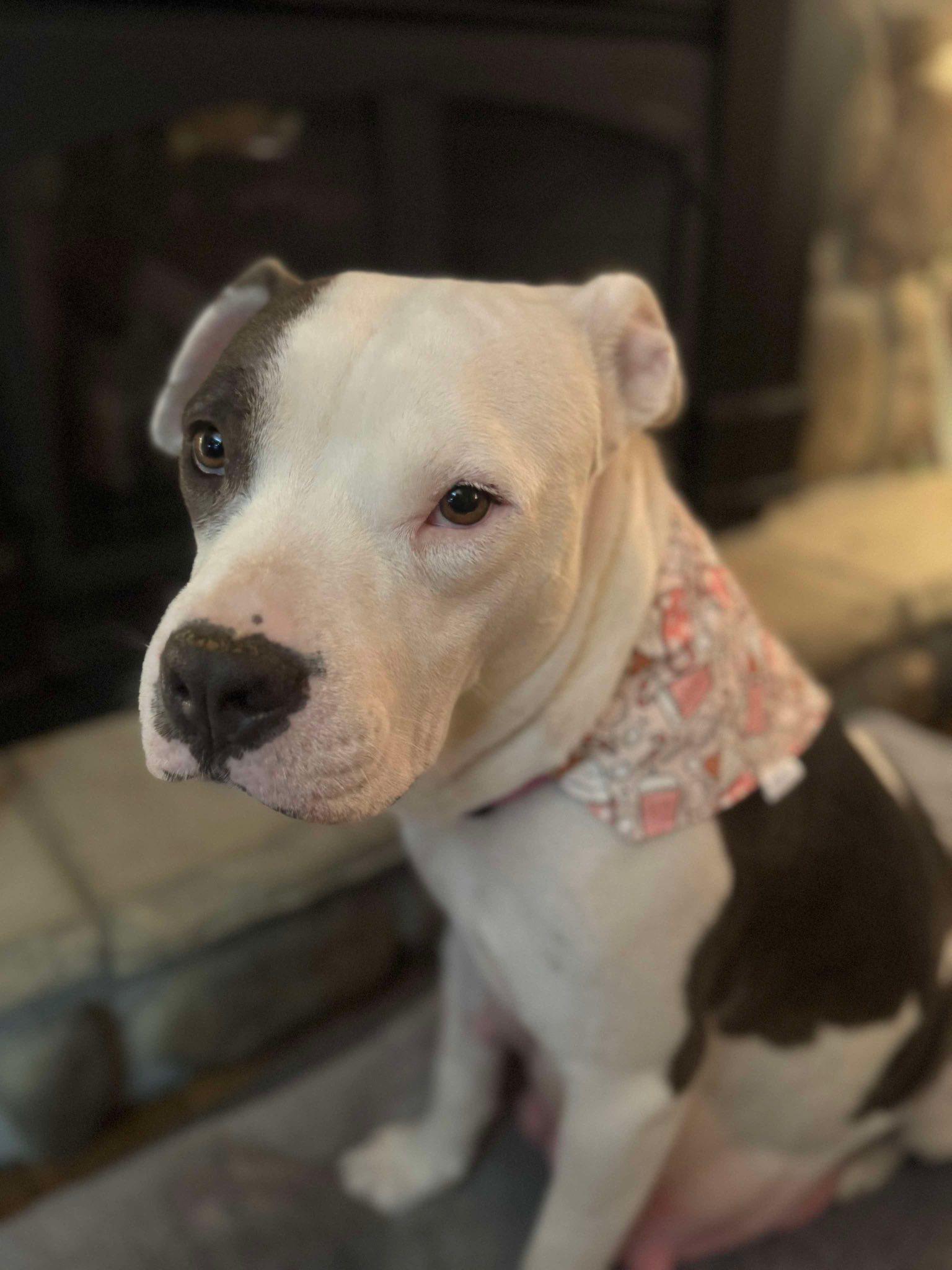 Mama Lita (20241030-02) — thumbnail 2