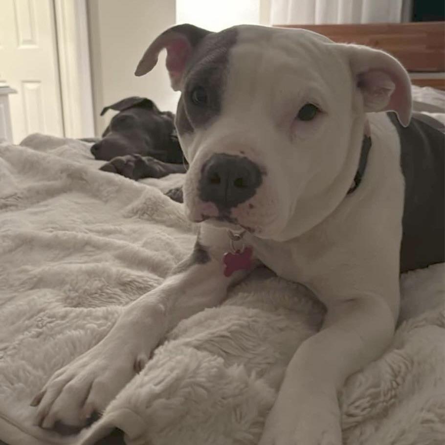 Mama Lita (20241030-02) — thumbnail 3