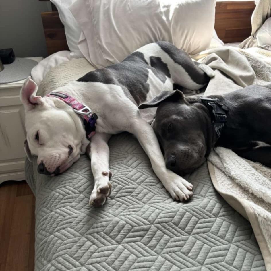 Mama Lita (20241030-02)