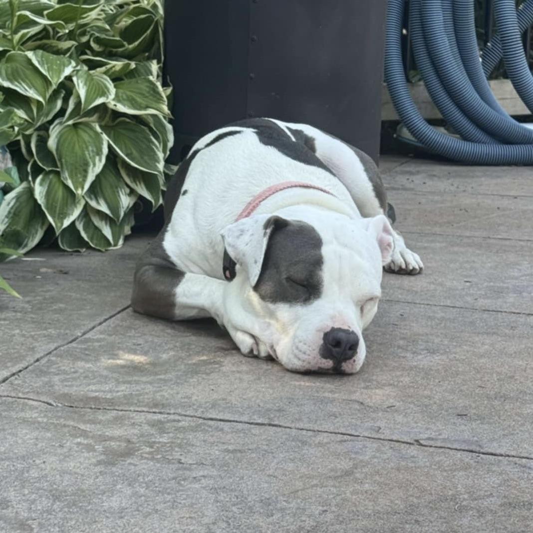 Mama Lita (20241030-02)