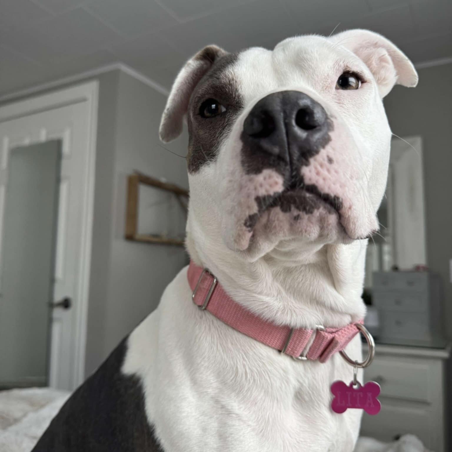 Mama Lita (20241030-02) — thumbnail 6