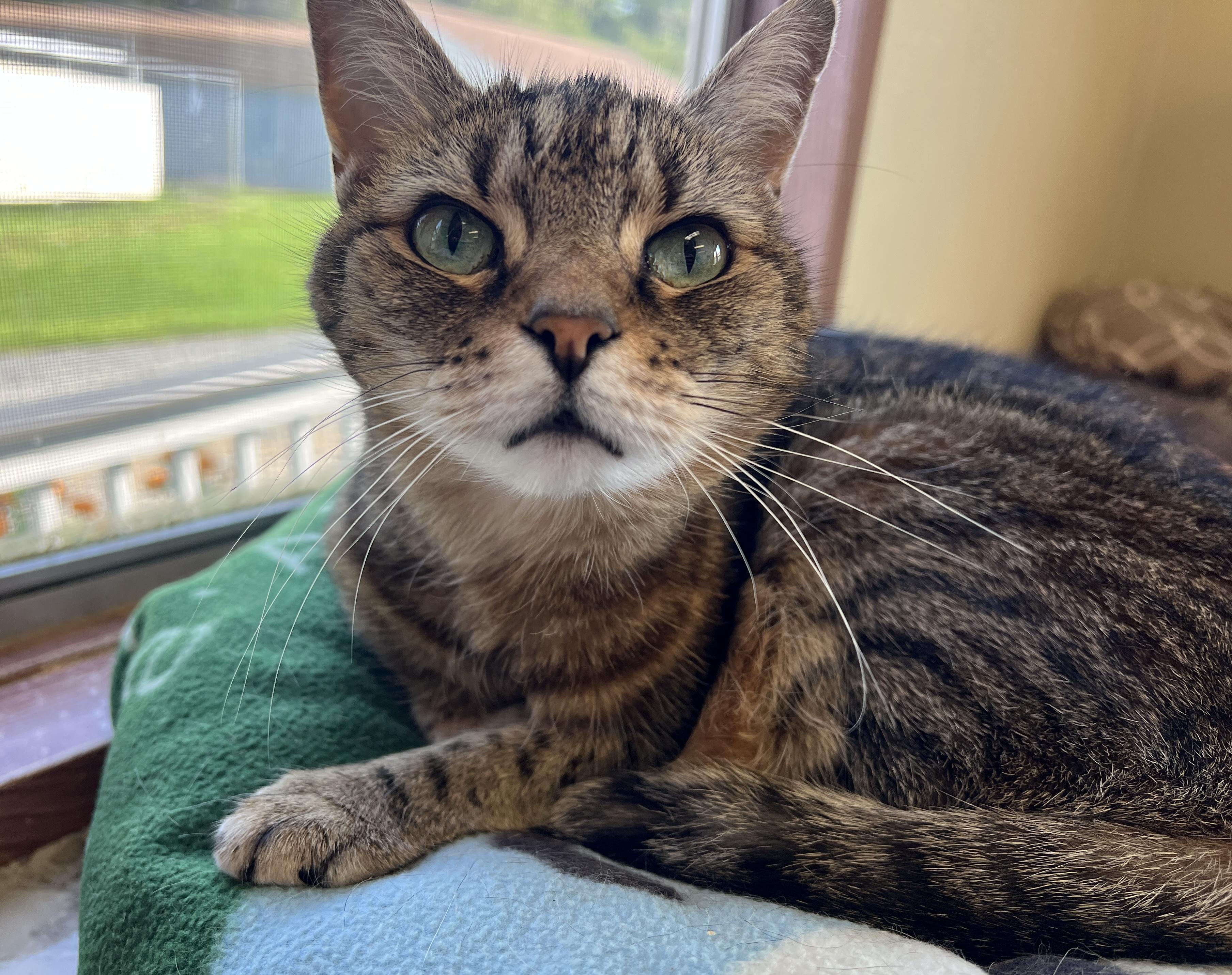 Ms Lucky — thumbnail 2