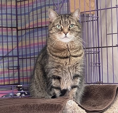 Ms Lucky — thumbnail 3