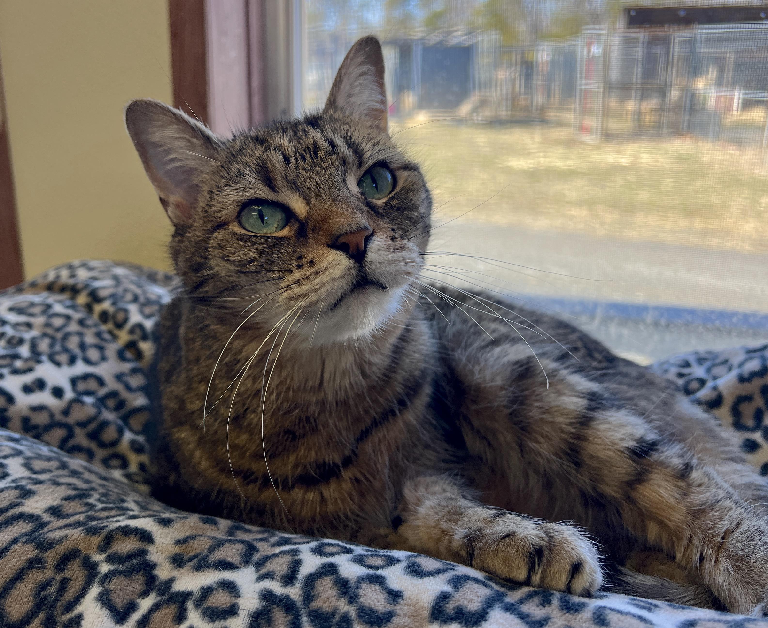 Ms Lucky — thumbnail 4